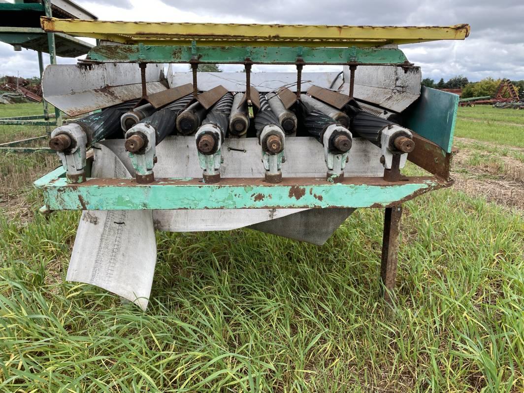 RADISH TAILER, 36'' X 36''