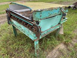 RADISH TAILER, 36'' X 36''