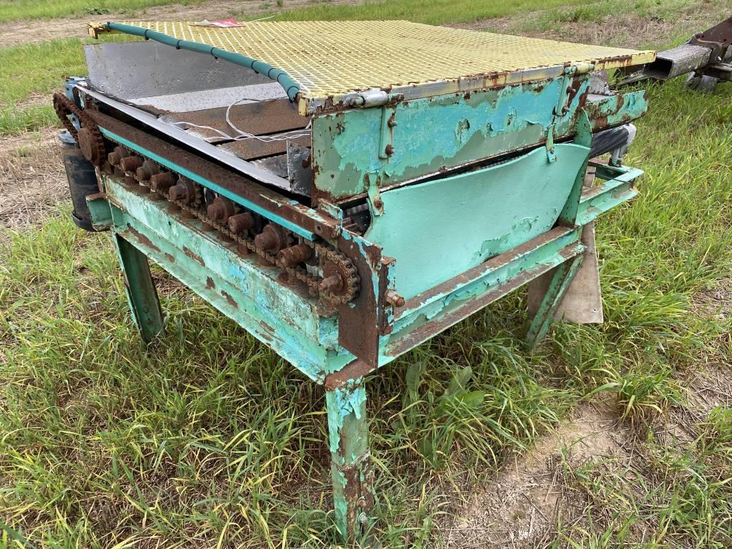 RADISH TAILER, 36'' X 36''