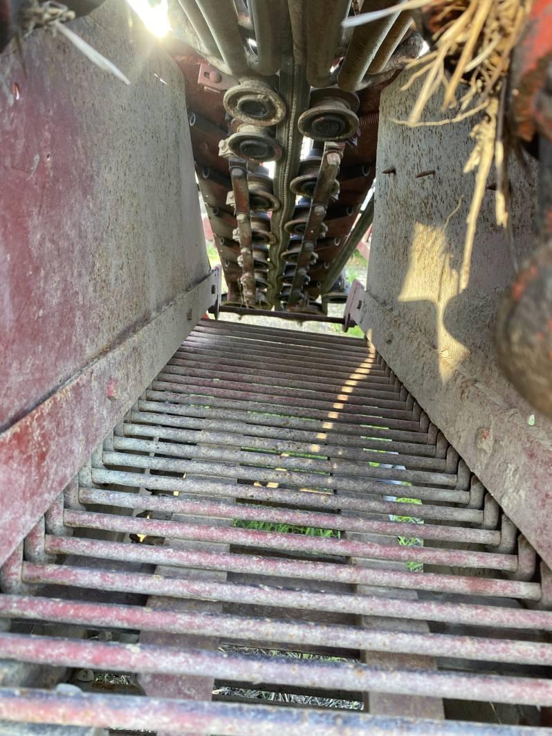 FMC HARVESTER, 1-ROW, CARROTT