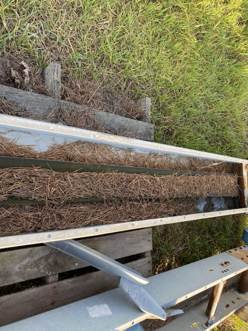CONVEYOR, 5-1/2'' X 12' [2]