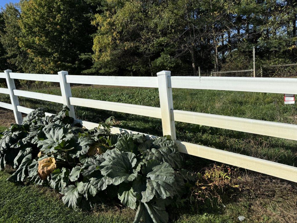 8' SECTIONS OF FENCING (25 QTY.)