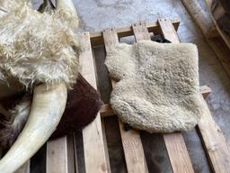 SHEEPSKIN HIDE, APPROX. 25'' X 20'', AND (1) HEREFORD BULL HEAD MOUNT, 29.5'' HORN SPREAD WITH BULL 