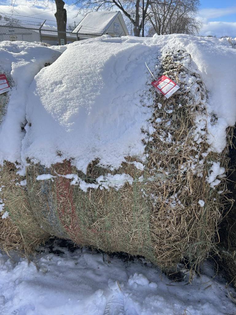 4' X 5' ROUND BALES, PURE ALFALFA HAY, APPROX. 800 LBS