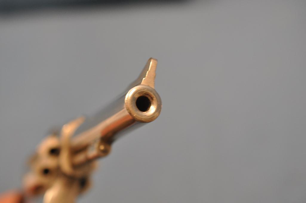Rossi .22 cal revolver