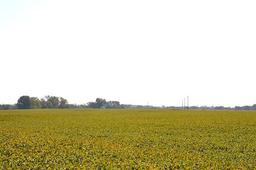 Tract 1 - 80.8 Surveyed Acres