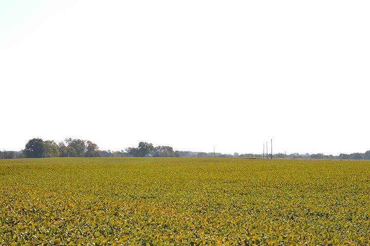 Tract 1 - 80.8 Surveyed Acres