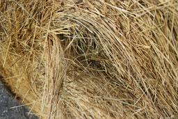 (15) 5'x6' net-wrapped bales of hay