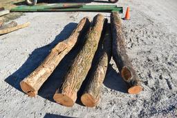 (4) 10' hedge posts
