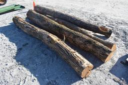 (4) 10' hedge posts