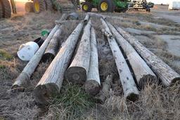 Section of wooden telephone poles