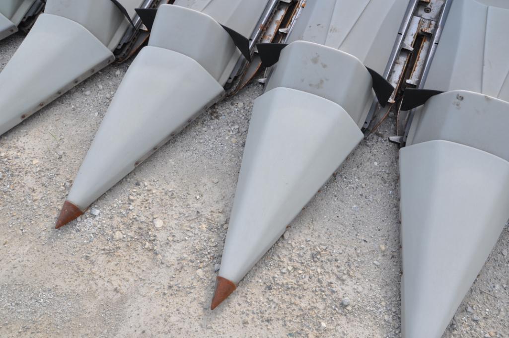2010 AGCO 3000 6 row 30" corn head
