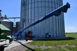 2009 Brandt 13"x70' swing away grain auger