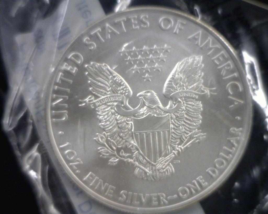 2009 SILVER EAGLE