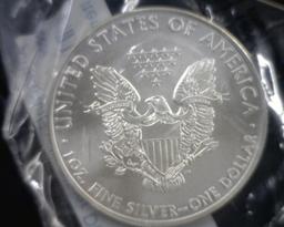 2009 SILVER EAGLE