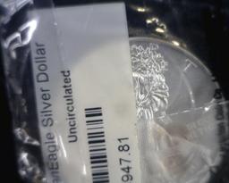 2009 SILVER EAGLE