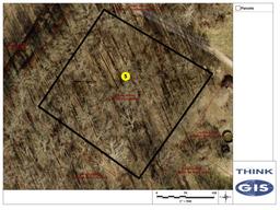 Lot 5: Unimproved 210' x 210' lot with mature standing timber