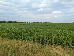 Tract 2 - 86.22 Surveyed Acres