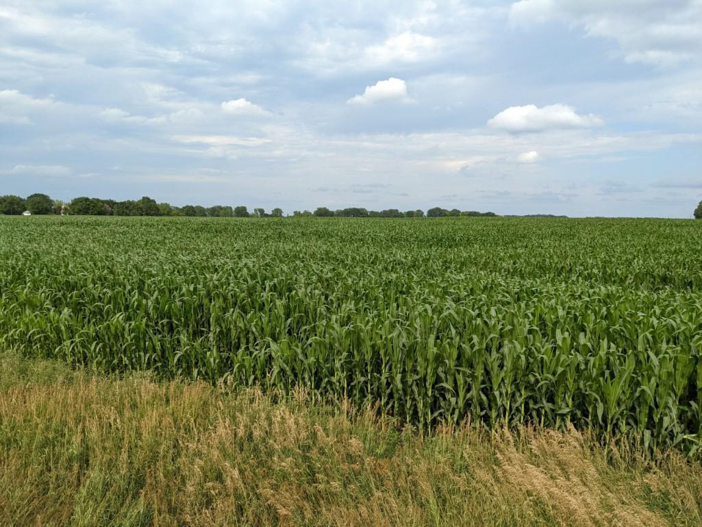 Tract 2 - 86.22 Surveyed Acres