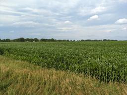 Tract 2 - 86.22 Surveyed Acres