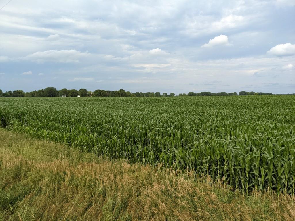 Tract 2 - 86.22 Surveyed Acres