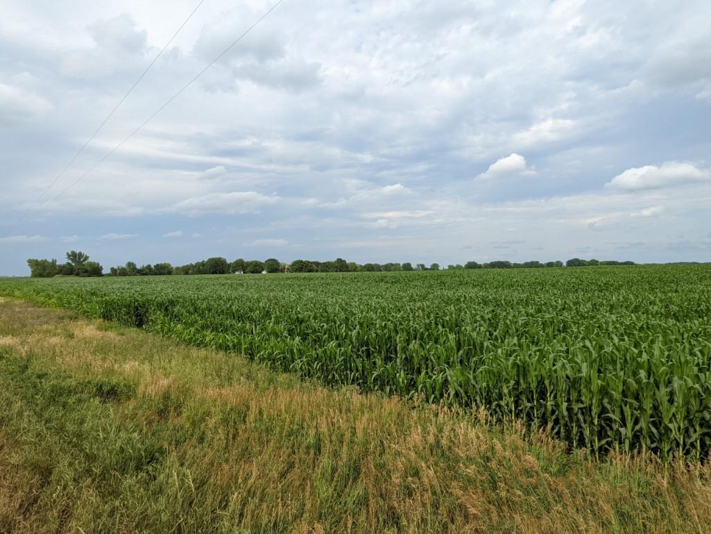 Tract 2 - 86.22 Surveyed Acres