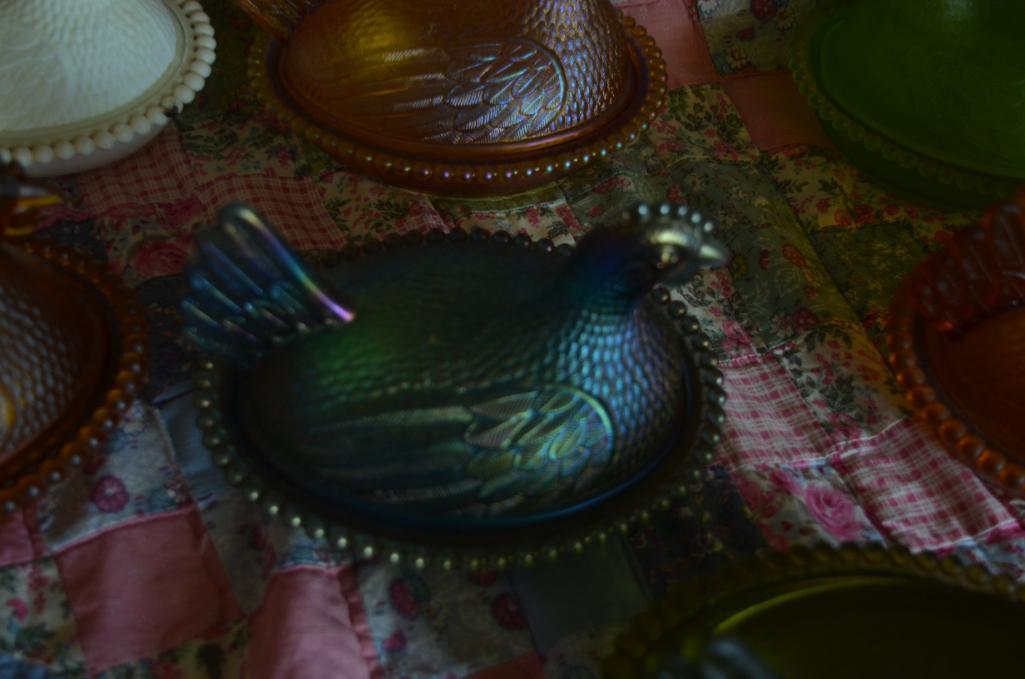 (7) Hens on the Nest