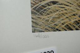 Patrick Costello 1979 quail print