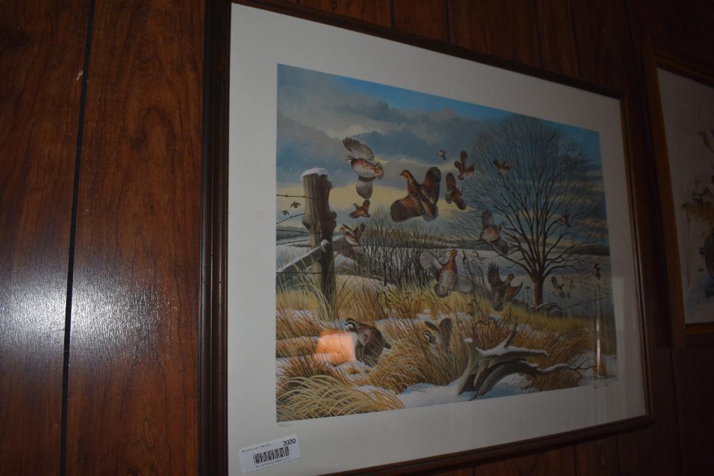 Patrick Costello 1979 quail print