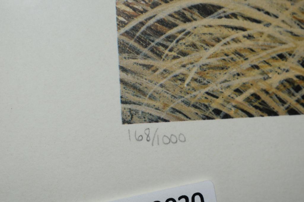Patrick Costello 1979 quail print