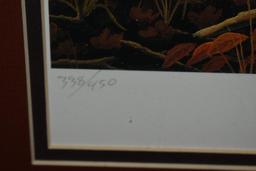 (2) Framed prints
