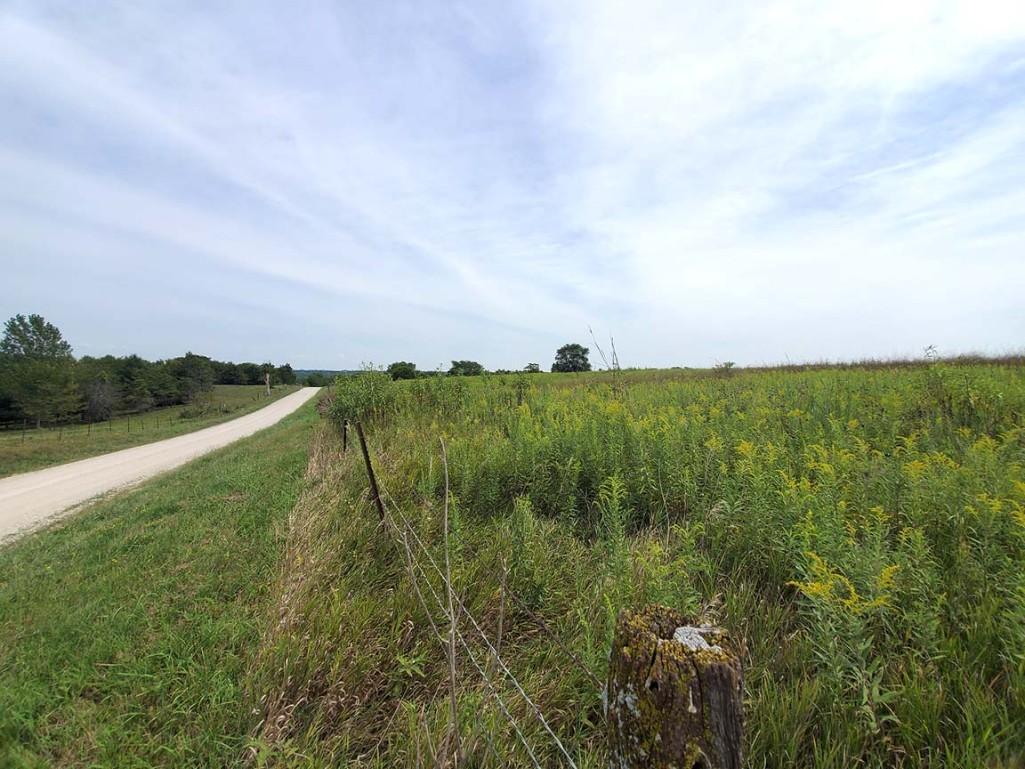 Tract 4 - 186.2 Surveyed Acres