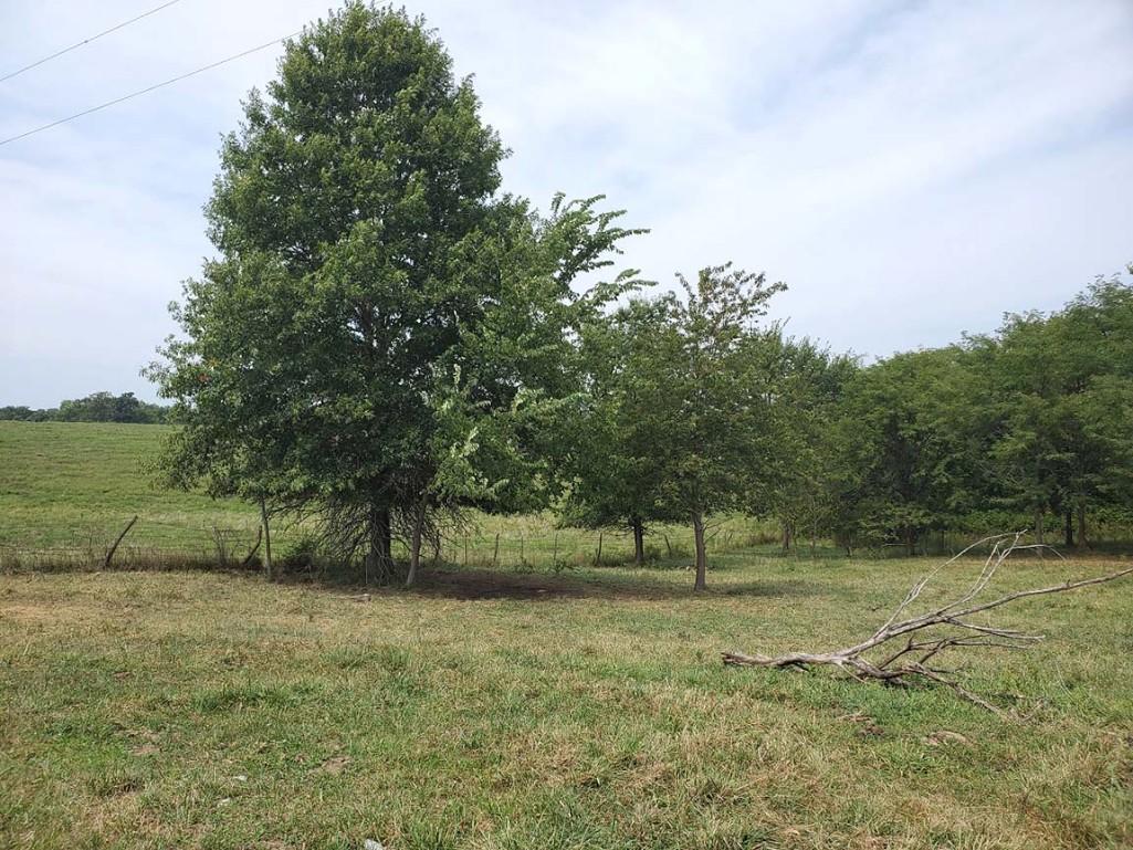 Tract 4 - 186.2 Surveyed Acres