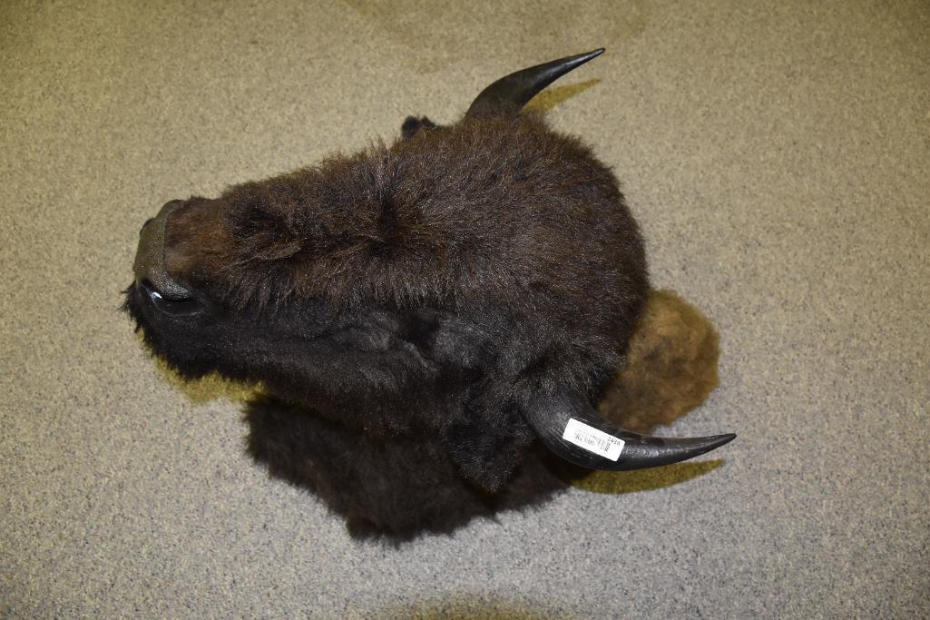 Large Buffalo Head
