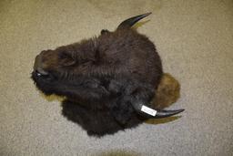 Large Buffalo Head