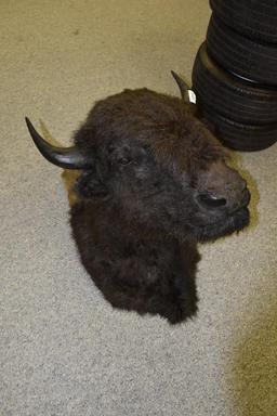 Large Buffalo Head