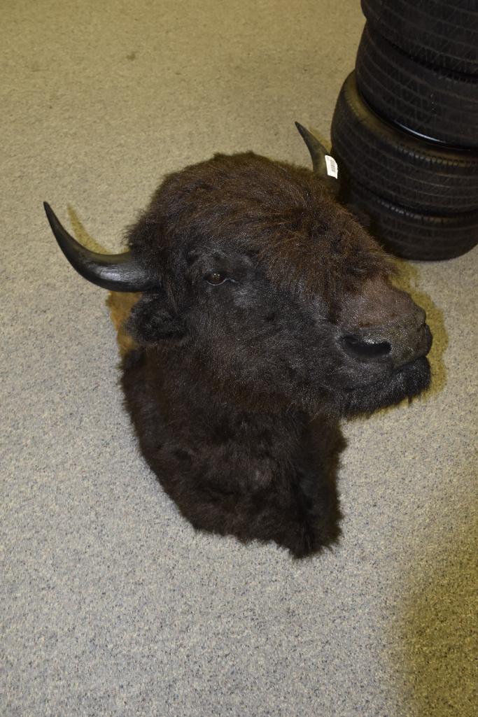 Large Buffalo Head