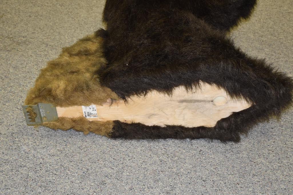 Large Buffalo Head