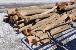 (43) Hedge posts