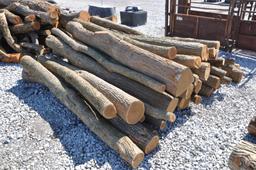 (43) Hedge posts