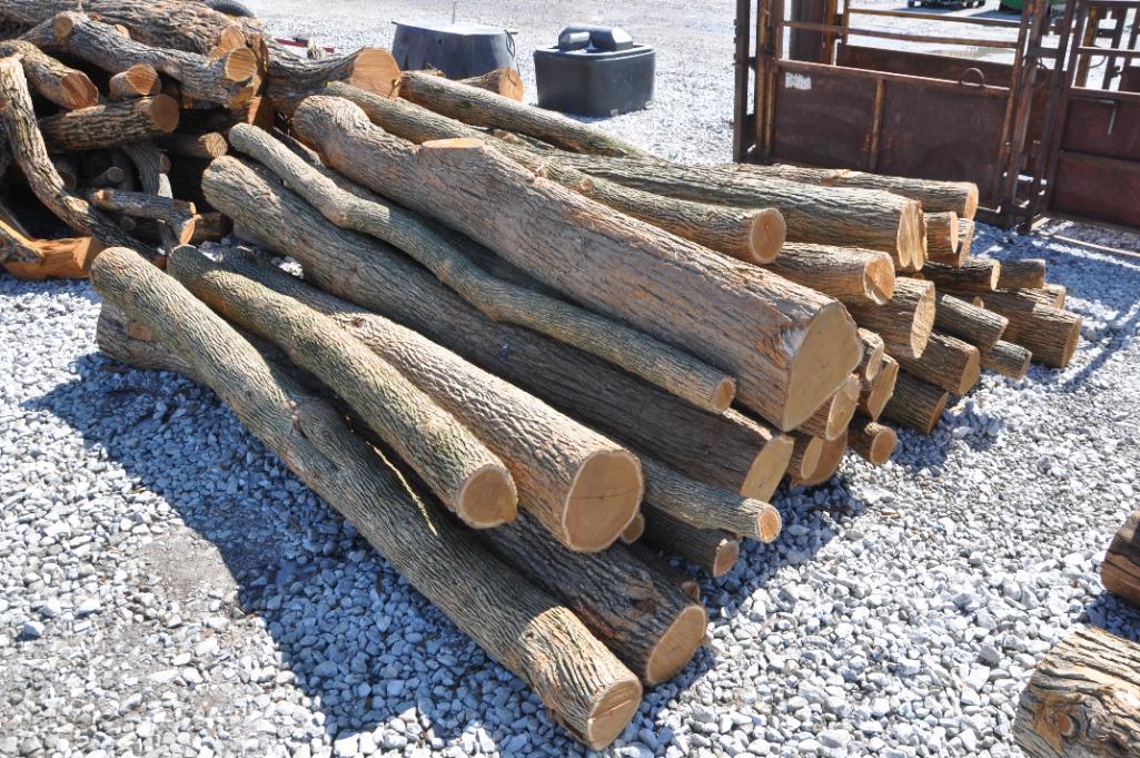 (43) Hedge posts