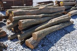 (43) Hedge posts
