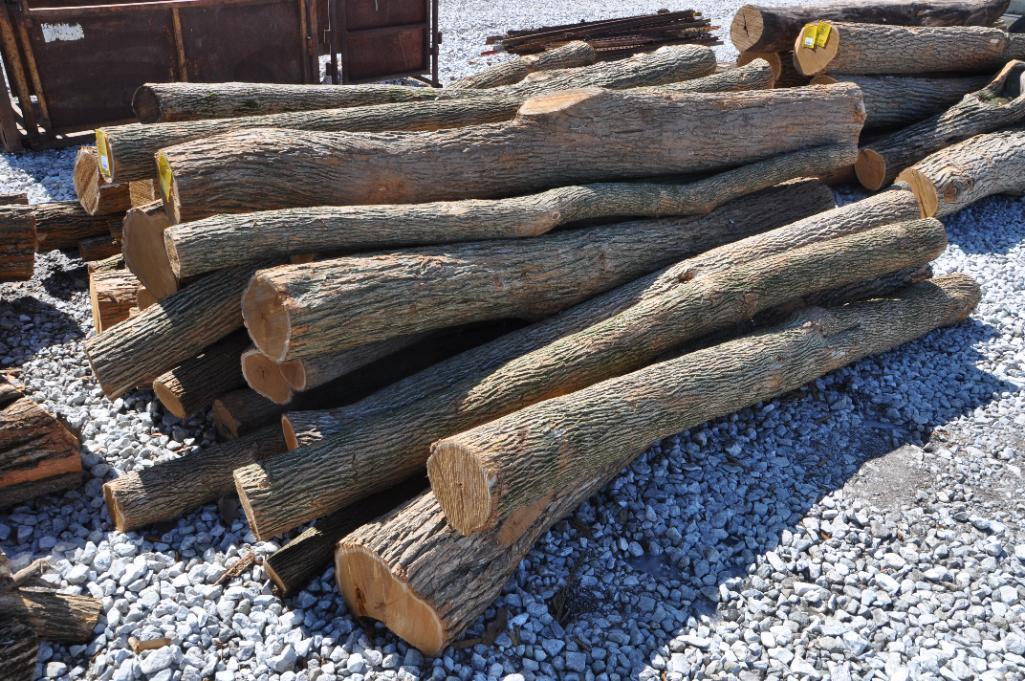 (43) Hedge posts