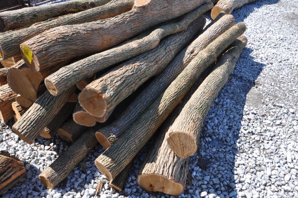 (43) Hedge posts