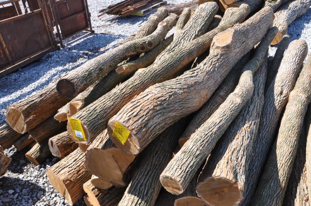 (43) Hedge posts