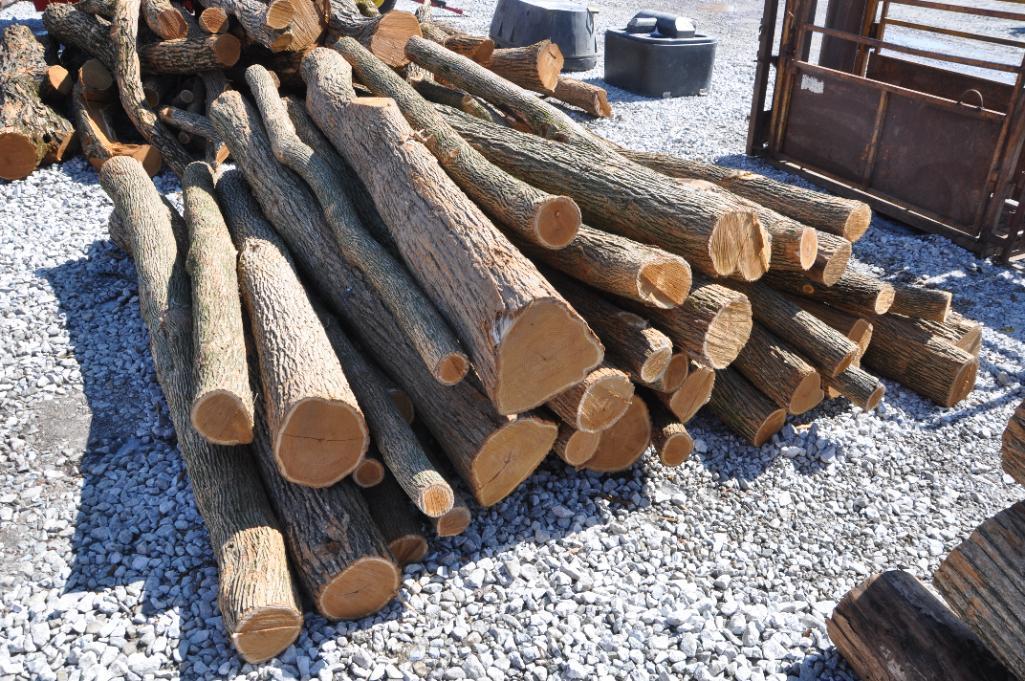 (43) Hedge posts