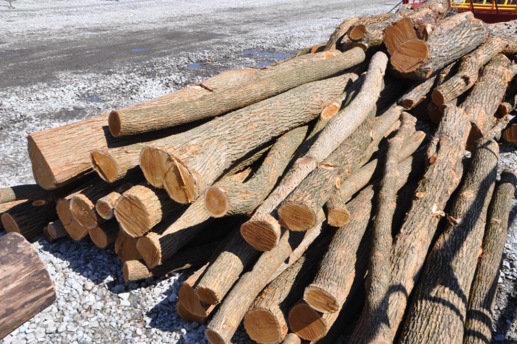 (43) Hedge posts