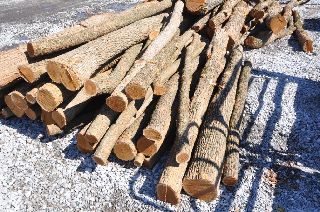 (43) Hedge posts