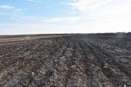 Tract 1 - 81.10 surveyed acres