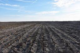 Tract 1 - 81.10 surveyed acres